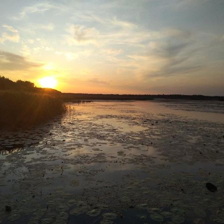 Domek Na Terenie Poleskiego Parku Narodowego Urszulin  Exterior foto